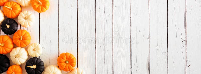 Autumn pumpkin corner border in Halloween colors orange, black and white against a white wood banner background. Copy space