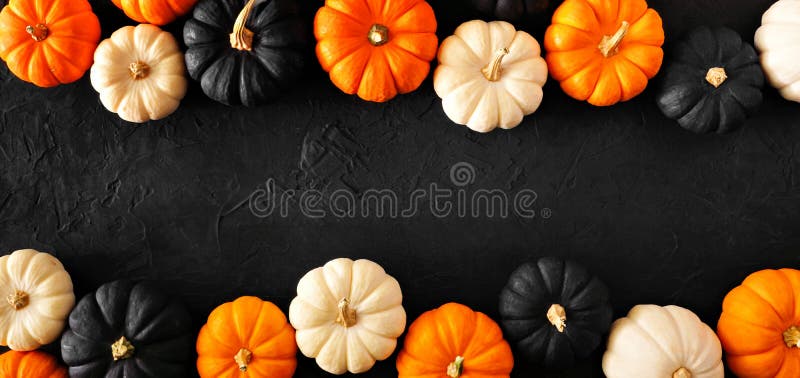 Autumn pumpkin double border banner in Halloween colors orange, black and white against a black stone background. Copy space