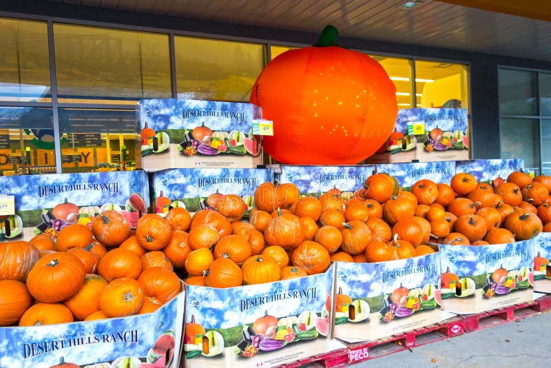 Autumn Pumpkin Harvest Sale in Canmore Aberta immagini stock Autumn Pumpkin Harvest Sale in Canmore Aberta immagini stock