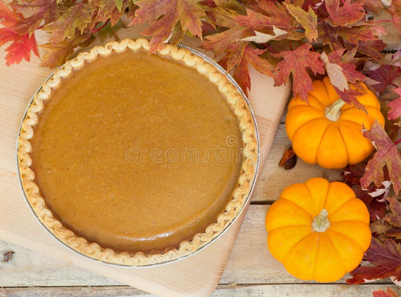 Autumn Pumpkin Pie