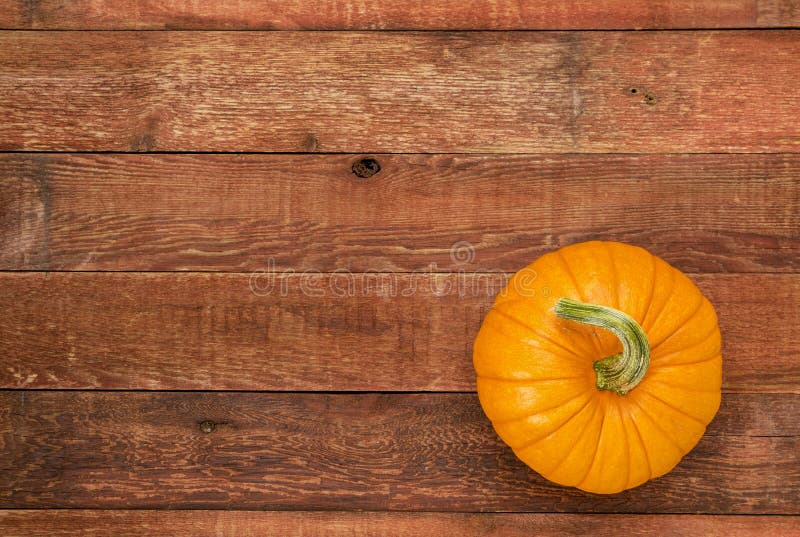 Autumn pumpkin on rustic wood