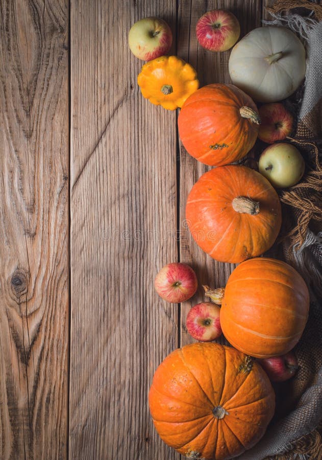 Autumn Pumpkin Thanksgiving Background Stock Photo - Image of pumpkins ...