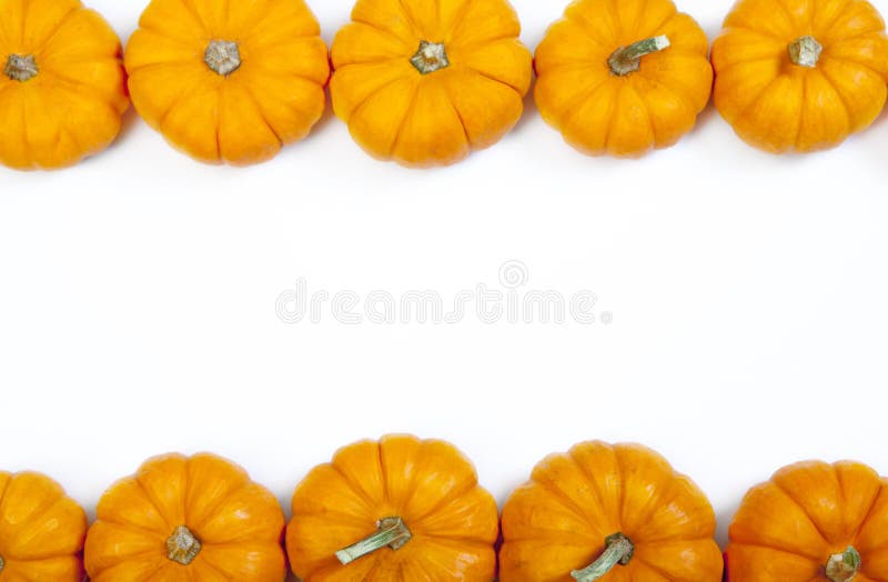 Autumn pumpkin thanksgiving background royalty free stock images Autumn pumpkin thanksgiving background royalty free stock images