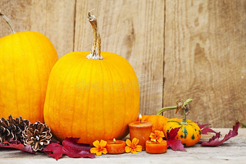 Autumn Pumpkin Thanksgiving-Dekoration lizenzfreie stockbilder Autumn Pumpkin Thanksgiving-Dekoration lizenzfreie stockbilder