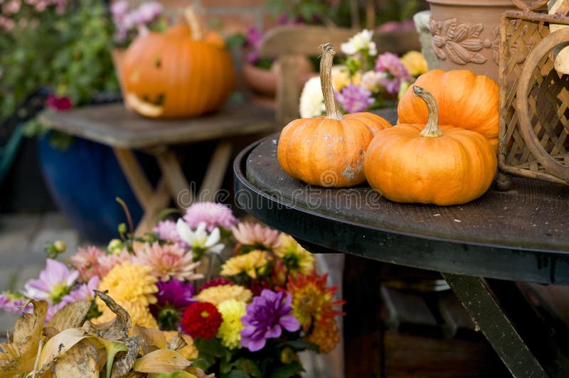 Autumn pumpkins stock image Autumn pumpkins stock image