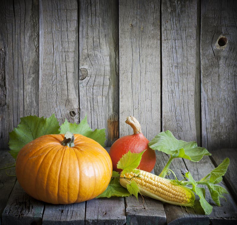 Autumn pumpkins and corn