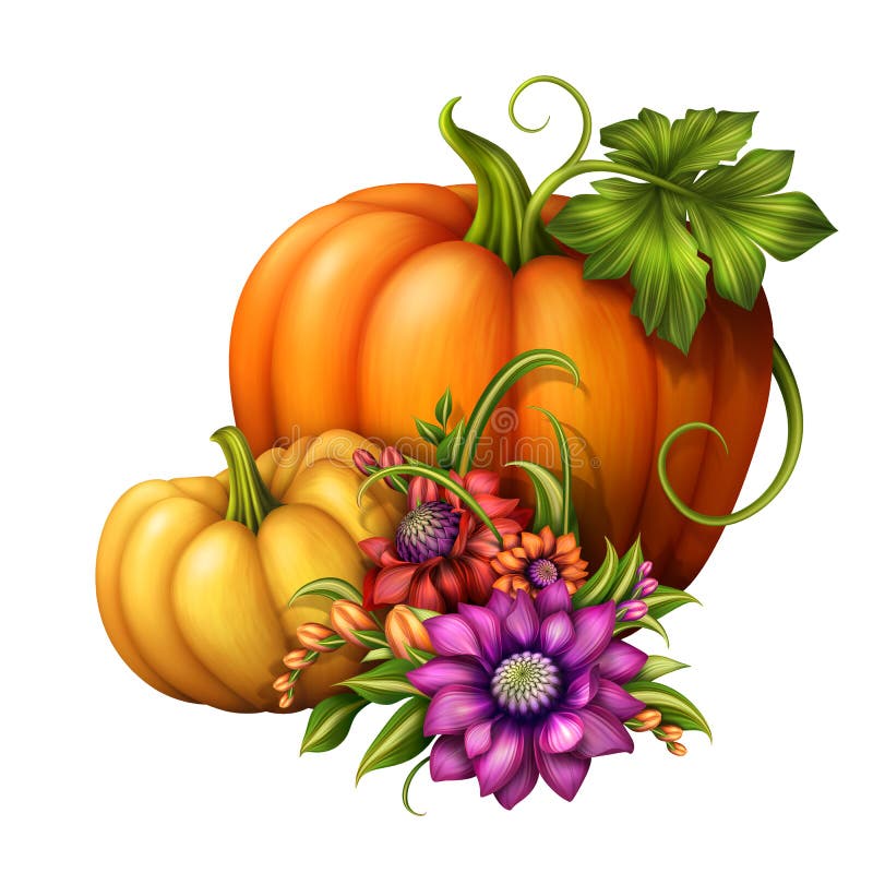 Autumn pumpkins with seasonal flowers, illustration isolated on white background