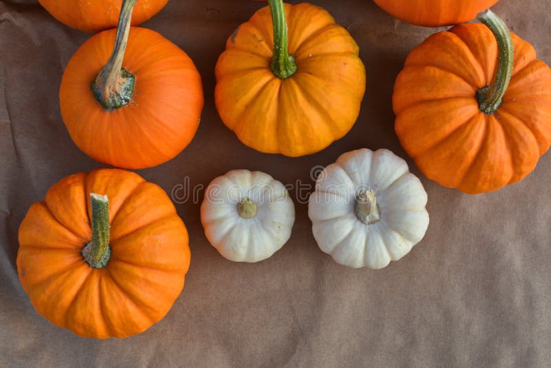 Autumn pumpkis decoration royalty free stock images Autumn pumpkis decoration royalty free stock images