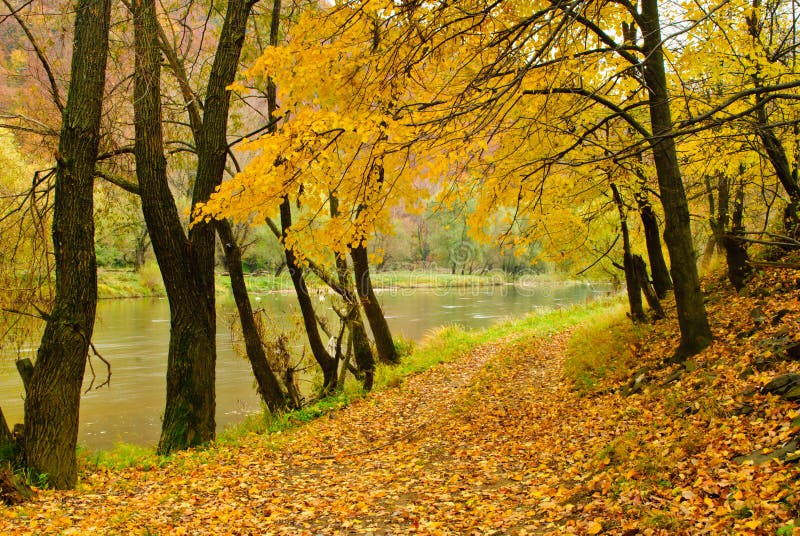 Autumn river
