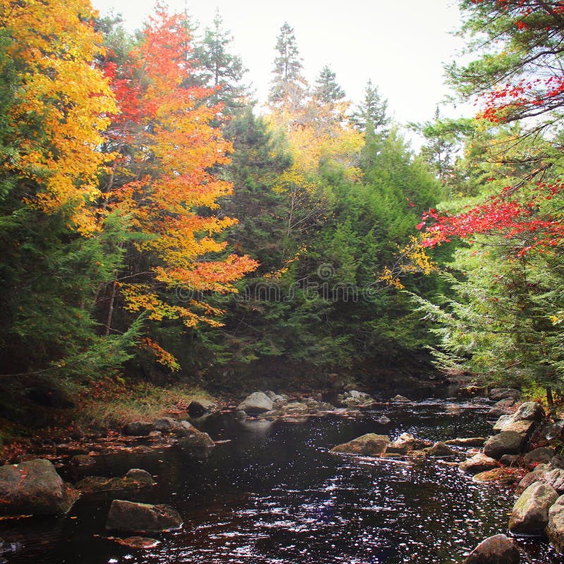 Autumn River stock image. Image of trees, river, autumn - 51721883