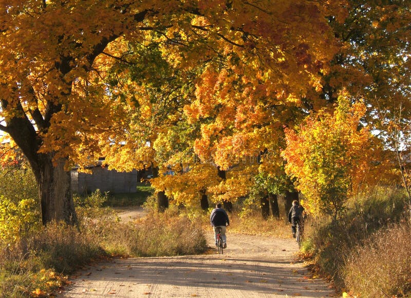 Autumn road