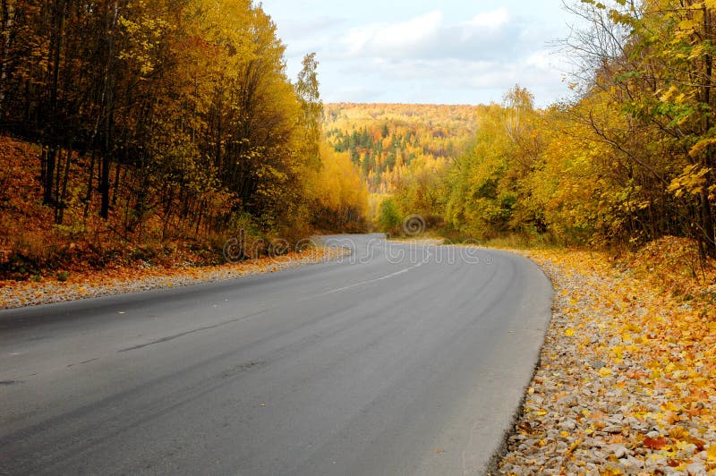 Autumn road royalty free stock photography