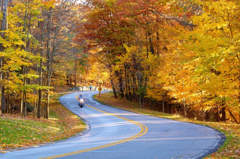 Autumn road with biker
