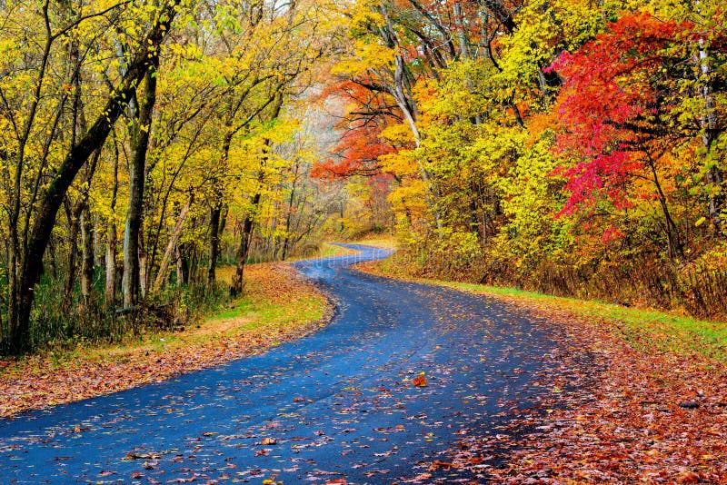 Autumn Road in Ohio stock image. Image of ohio, path 70382841