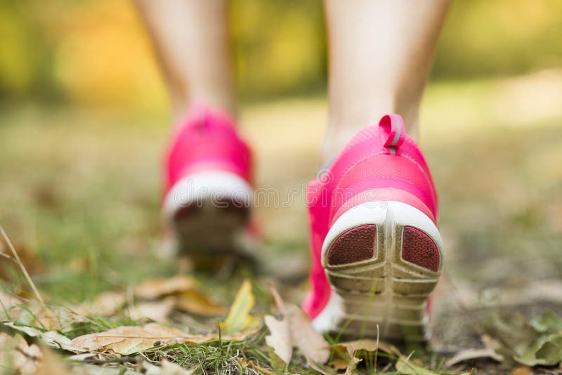 Autumn runner royalty free stock image Autumn runner royalty free stock image