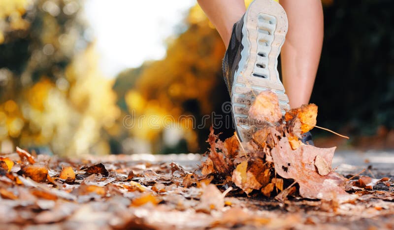 Close up di piedi di un corridore in esecuzione in autunno le foglie di allenamento per la maratona e fitness, stile di vita sano.