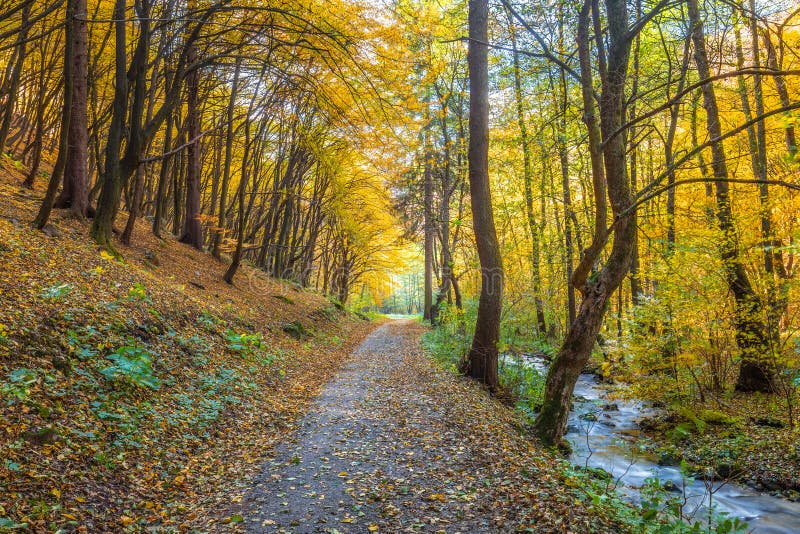 Autumn rural landscape