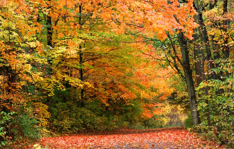 Autumn in rural Michigan