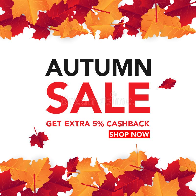 Autumn sale banner template with leaves, fall leaves for shopping sale. banner design. Poster, card, label, web banner. Vector ill