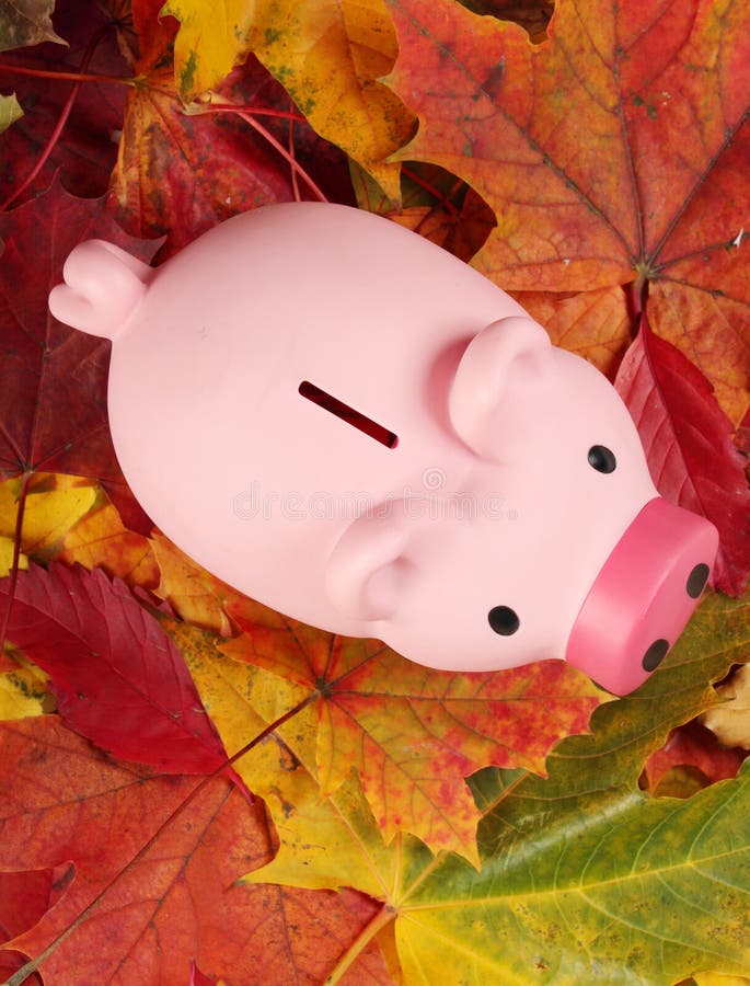 Autumn savings stock photo Autumn savings stock photo