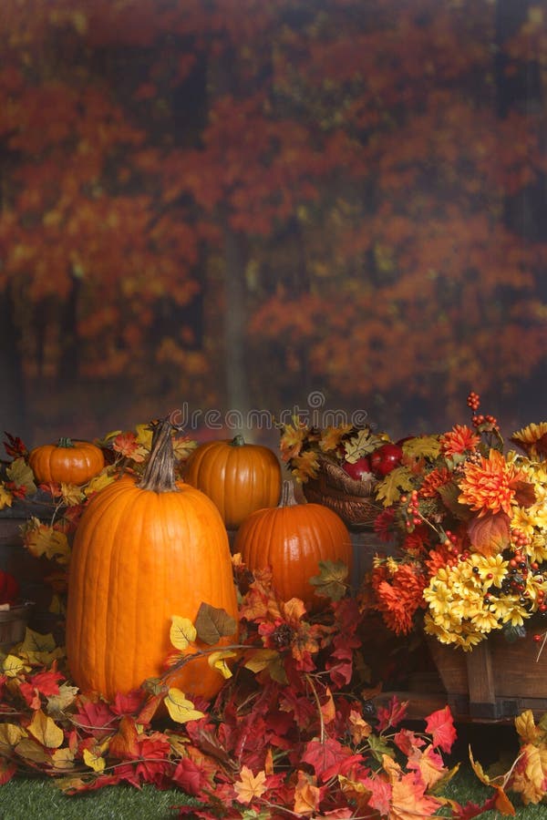 Autumn scene with pumpkins and colored leaves