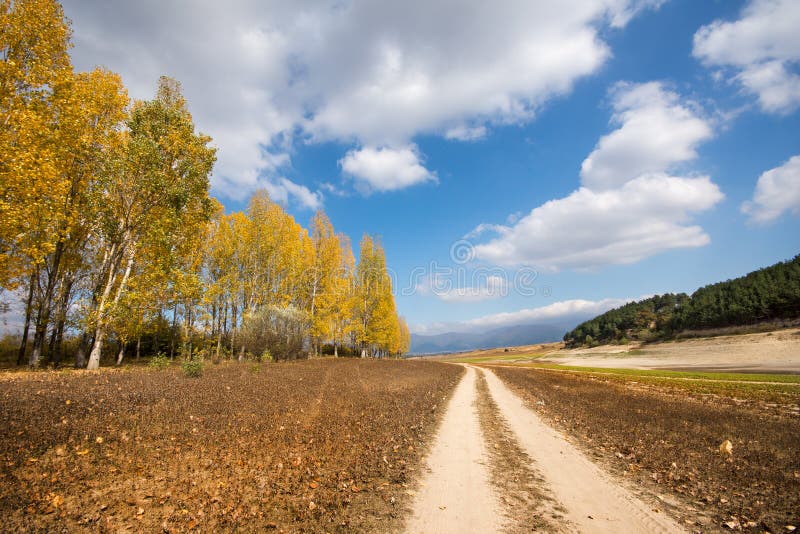 Autumn royalty free stock image