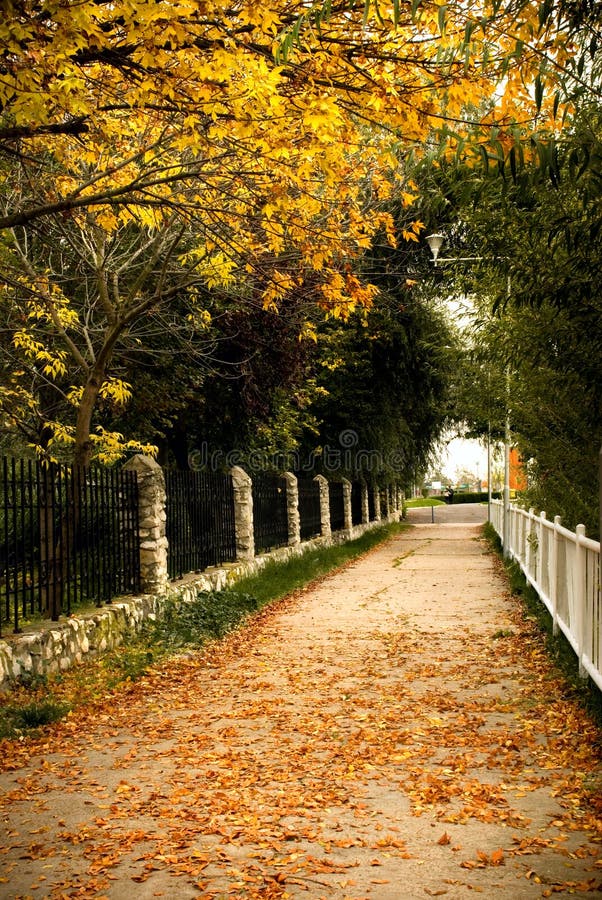 Autumn scenery stock photography Autumn scenery stock photography