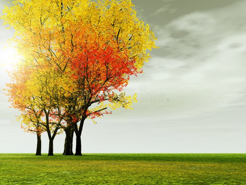 Beautiful scenery with autumn trees. Beautiful scenery with autumn trees