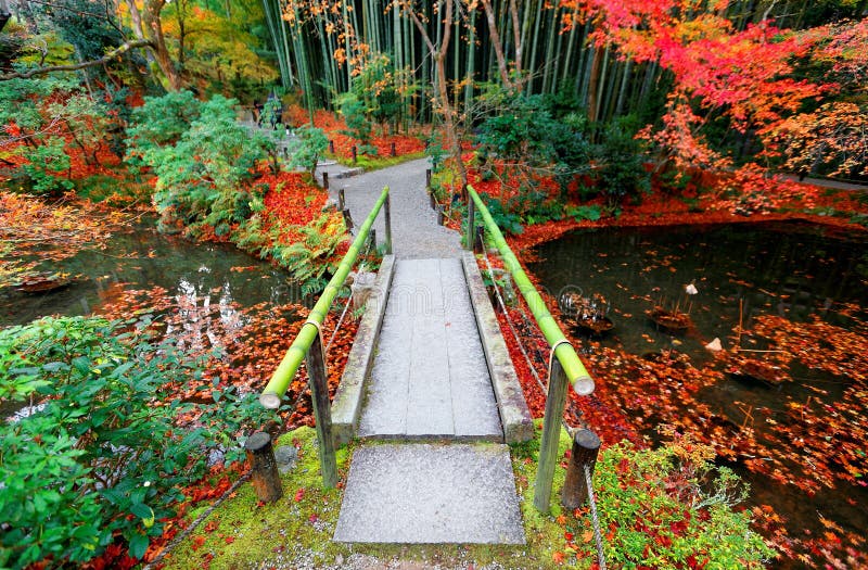 Autumn scenery of a Japanese garden in Enkouji, a Buddhist Temple in Kyoto, Japan, with a stone bridge over a small lake, fiery maple trees by the pond and fallen leaves floating on the water