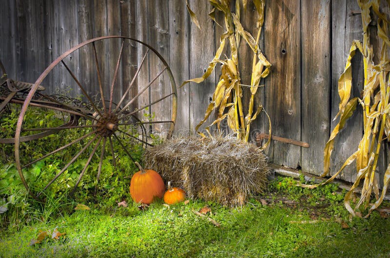 Autumn season barn door