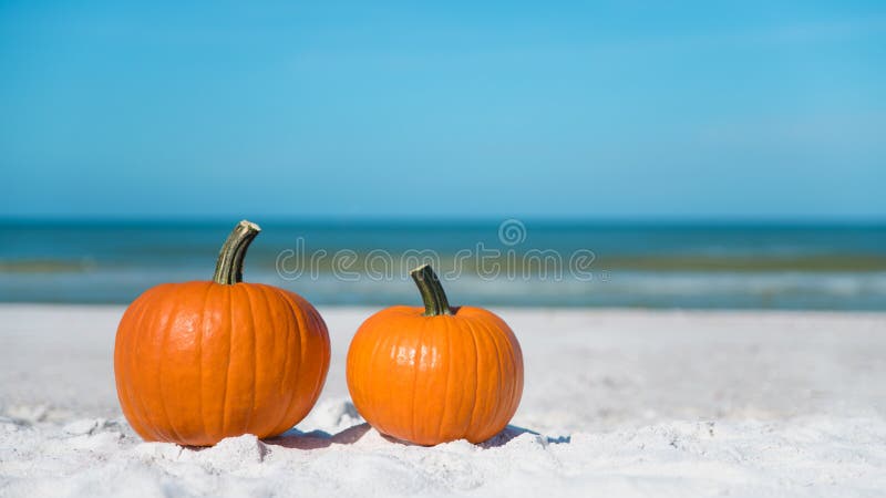 Autumn season composition. Pumpkin on the beach. Two pumpkins on sand beach shore. On background ocean water. Autumn in Florida. F