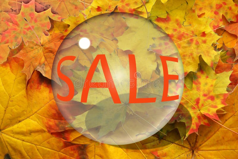 Autumn sheet and sale