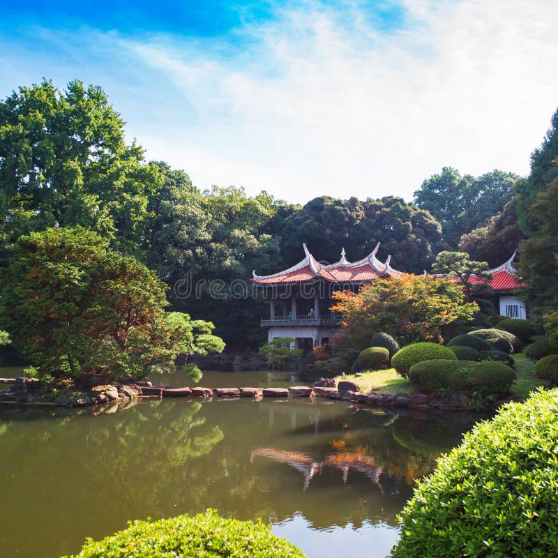 Autumn in the Shinjuku park, Tokyo, Japan. Copy space for text. stock photos Autumn in the Shinjuku park, Tokyo, Japan. Copy space for text. stock photos