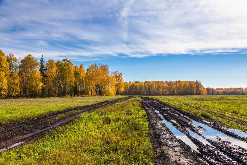 Autumn In Siberia Stock Photo Image Of Meadow Dirt 28197548