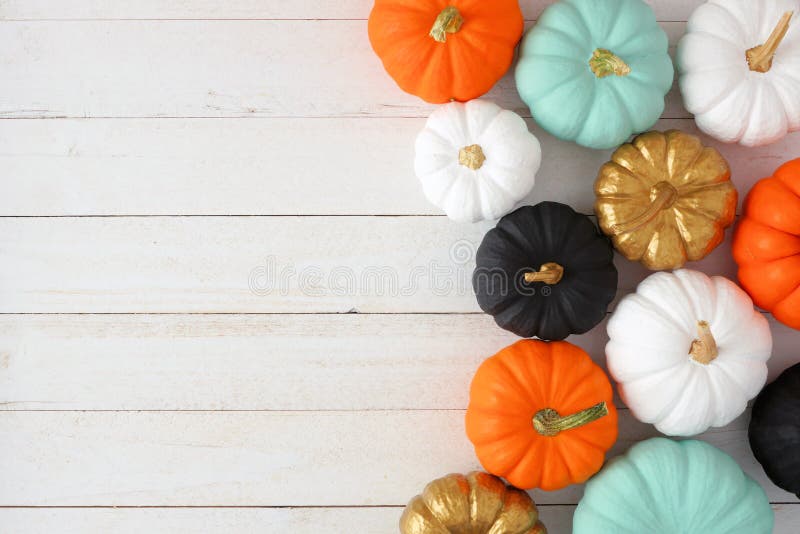 Autumn side border of various colorful pumpkins on white wood