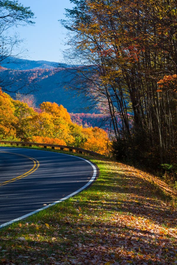 Autumn in the Great Smoky Mountains. Colorful Autumn Foliage in the Great Smoky Mountains National Park royalty free stock photography Autumn in the Great Smoky Mountains. Colorful Autumn Foliage in the Great Smoky Mountains National Park royalty free stock photography