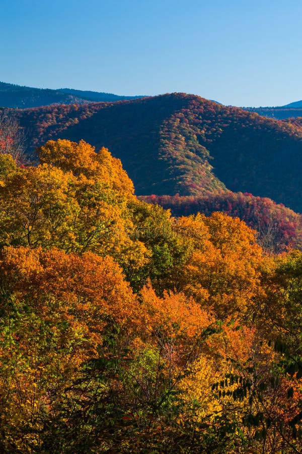 Autumn in the Great Smoky Mountains. Colorful Autumn Foliage in the Great Smoky Mountains National Park stock photo Autumn in the Great Smoky Mountains. Colorful Autumn Foliage in the Great Smoky Mountains National Park stock photo