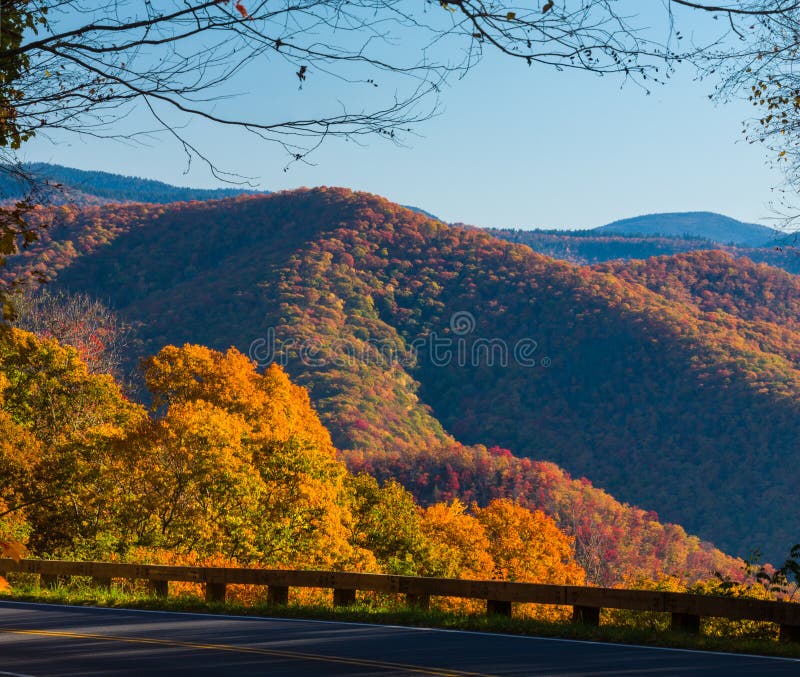 Autumn in the Great Smoky Mountains. Colorful Autumn Foliage in the Great Smoky Mountains National Park royalty free stock photography Autumn in the Great Smoky Mountains. Colorful Autumn Foliage in the Great Smoky Mountains National Park royalty free stock photography