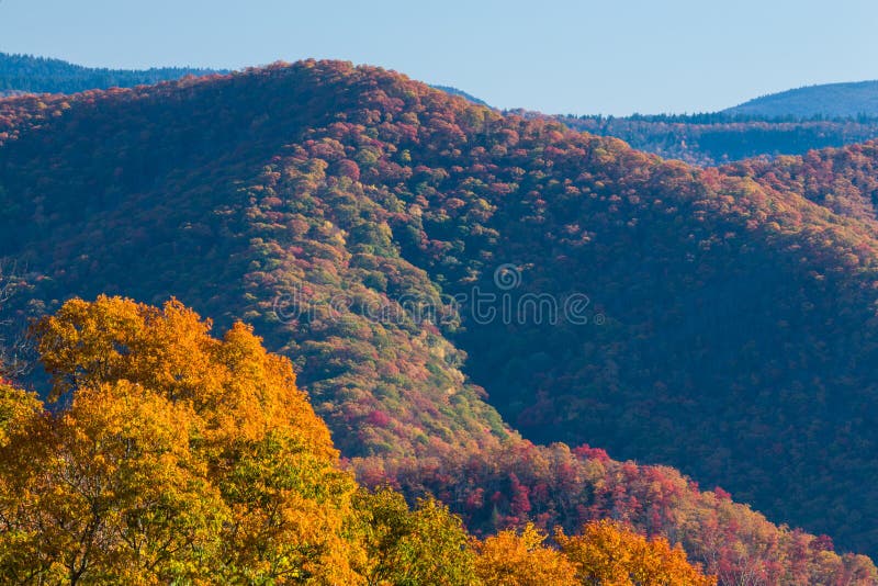 Autumn in the Great Smoky Mountains. Colorful Autumn Foliage in the Great Smoky Mountains National Park royalty free stock photo Autumn in the Great Smoky Mountains. Colorful Autumn Foliage in the Great Smoky Mountains National Park royalty free stock photo