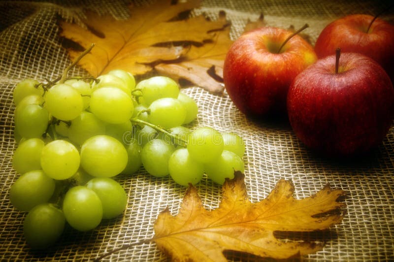 Autumn still-life