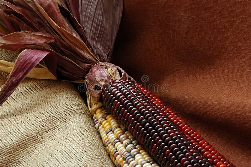 Autumn still life