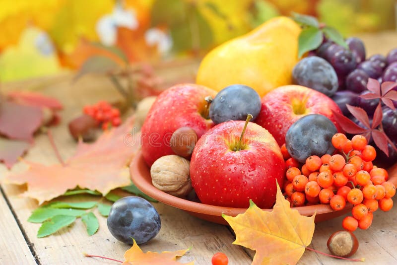 Autumn Still Life with Assorted Fruit, Berries and Nuts Stock Image