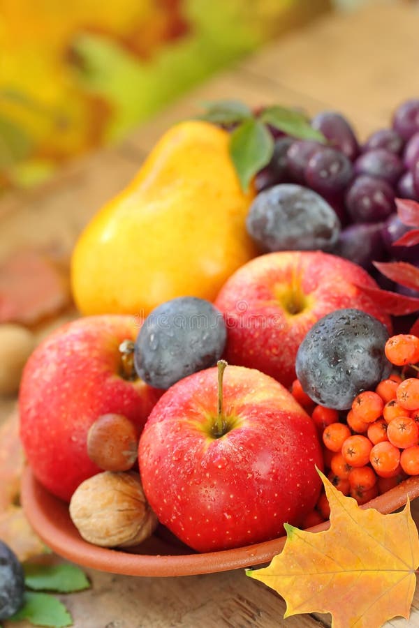 Autumn Still Life with Assorted Fruit, Berries and Nuts Stock Image