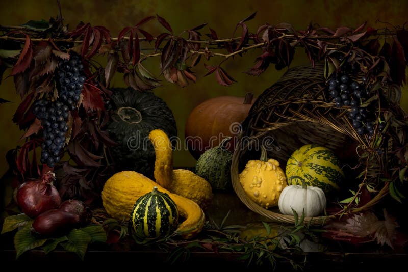 Decorative pumpkins taken by methode of light brush. Decorative pumpkins taken by methode of light brush