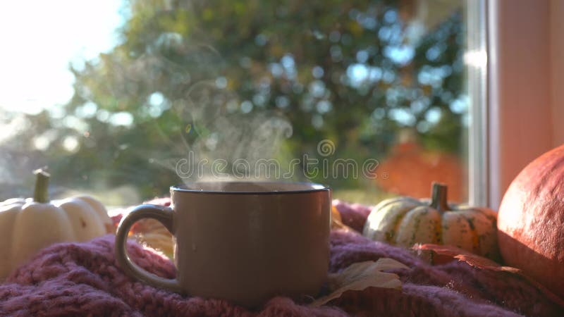 Autumn still life, Cup of hot tea, pumpkins,falling leaves and scarf on the windowsill