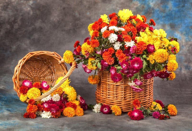 Autumn still life. Flower, fruit and vegetables