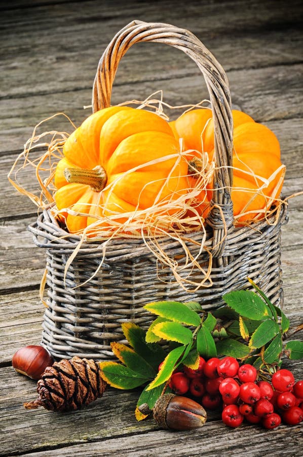 Autumn still-life with fresh pumpkins in basket