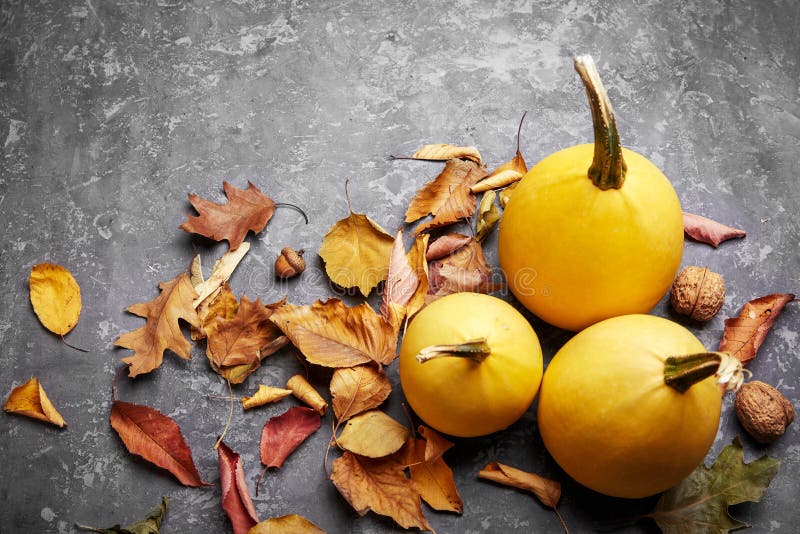 Autumn still life pumpkin with yellow leaves