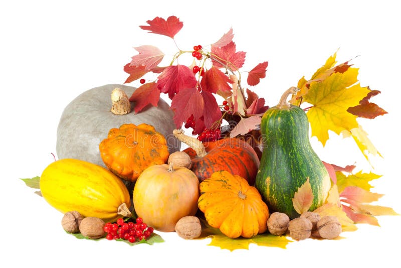 Pile Of Autumn Colored Leaves Isolated On White Background Stock Photo ...
