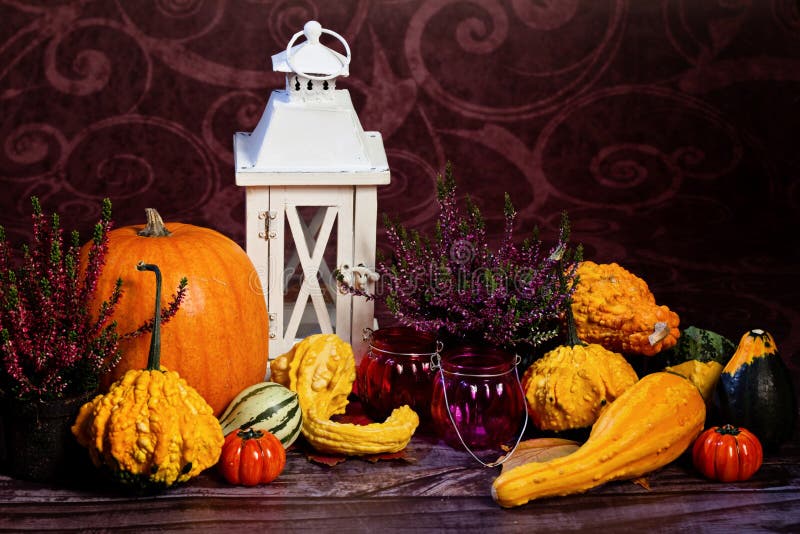 Autumn still-life with pumpkins stock photography Autumn still-life with pumpkins stock photography